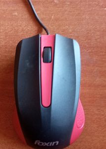 Computer Mouse