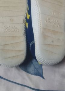 Shoe