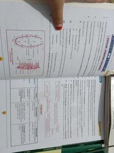 NEET Study Material 1st Year