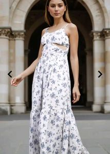 Floral Print Dress - Shein