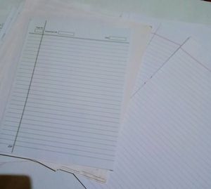 200+ Loose Pages