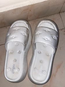Ginger Slides