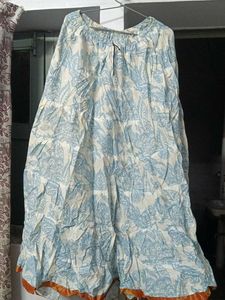 Unused Flared Skirt