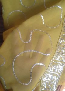 Elegant Embellished Saree