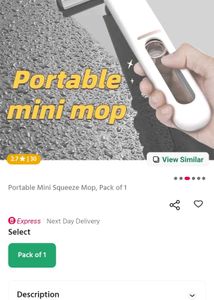 mini mop for winter seaso