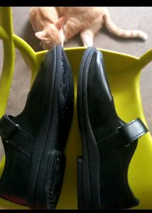 New One...For School Girls