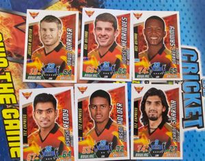 Topps Cricket Attax 2014 Srh Team Set