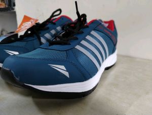 Asian Brand New Shoes With Tag