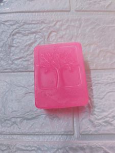 10 Organic Fruit Soaps @Rs500