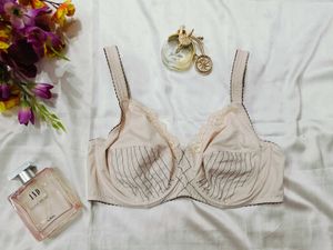 🇭🇲💫❣️ Heavy quality imported bra