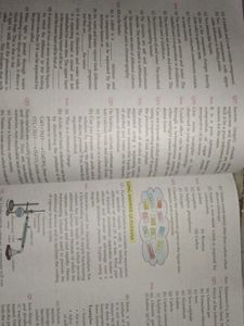 The Network of Chemistry - Grade 9