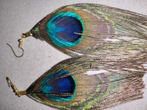 Peacock Feather Earrings