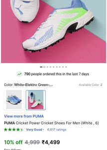 Puma Cricket Shoes -  New
