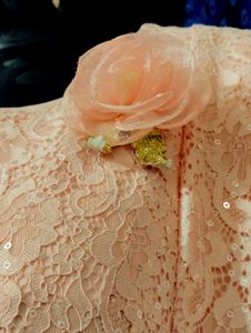 Blush Pink Lace Party Dress For Girls