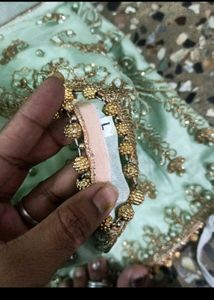 Crop Top Pista Green Color  Fully Neted With Heavy