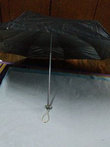 Popy Umbrella