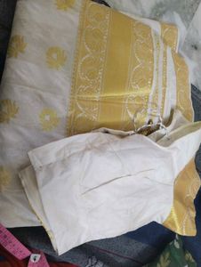 Elegant Kerala Saree