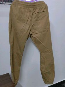 Brown Casual Joggers