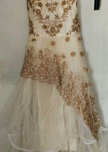 White Net Gown
