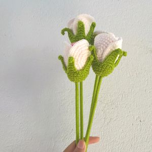Crochet 🌹Roses
