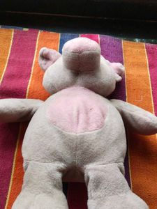 Teddy Bear 🩷 Pink