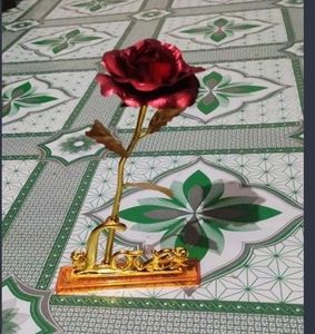 Show Piece 🫴🏻🩷