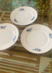 Dinner Plate