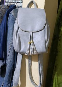 Perfect Everyday Bagpack