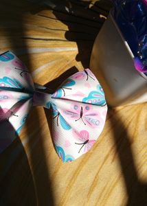 Cute Bow Clip And Earings Combo