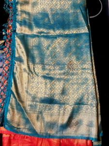 Saree ✨️ 🥻 And Blouse Pis