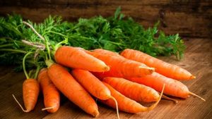 Organic Carrot Seeds Pack Of 1