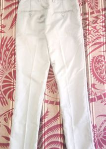 Men's Grey Casual Pants