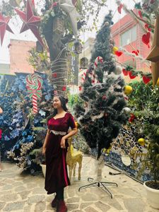 Velvet Designer Dress