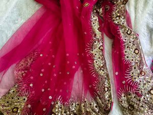 Sequence work pink netted saree