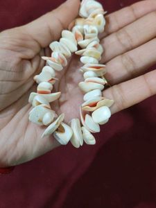 Shell Chip Necklace