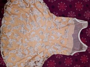 A line  embroidered dress