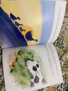 Children&#39;s Book Bundle - 12 Books