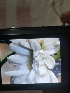 Nikon Coolpix A100