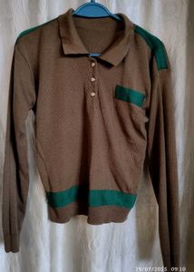 Vintage Brown & Green Polo