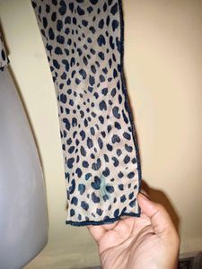 Size S Animal Print Sheer Top
