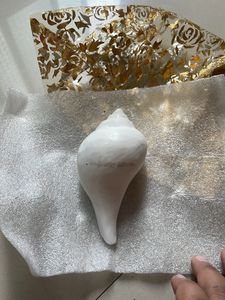 JINALI GEMS Blowing Shankh for Pooja, Blowi