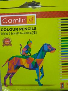 Camlin Pencil Colours 24 Shades With Sharpener