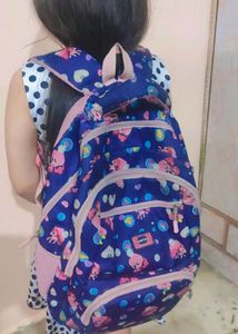 School Bag 5th To 8th Standard