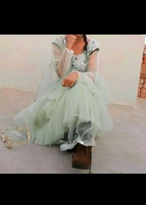 Beautiful Crop Top Choli
