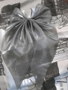Large Silver Organza Bow(never Used)