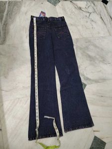 Embroidered Flare Leg Denim Jeans