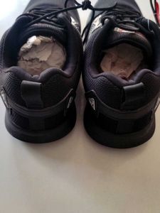 Campus Men Running Shoes