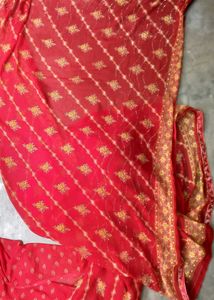 Red & Gold Sari