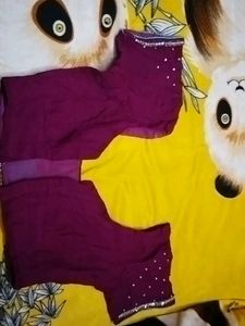 Elegant Embellished Saree