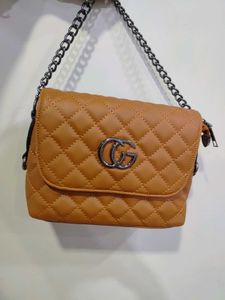 Gucci And Eviour Brand Bag